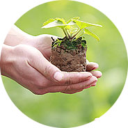 精品国产午夜肉伦伦影院